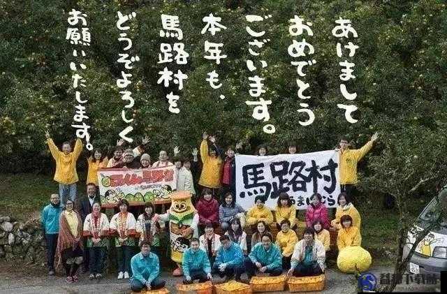 日本一品和二品区别:深入剖析其差异所在