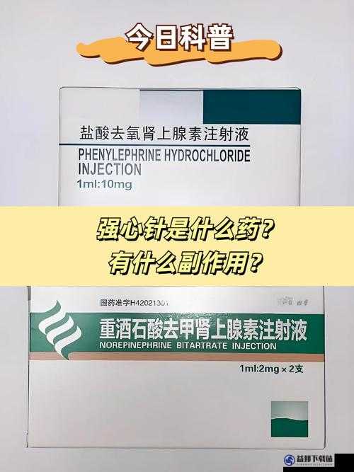 终结者2审判日游戏攻略，强心针剂作用全面解析及回血效果详解